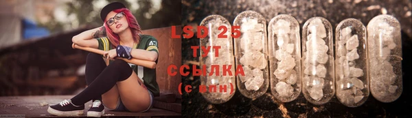 PSILOCYBIN Новодвинск