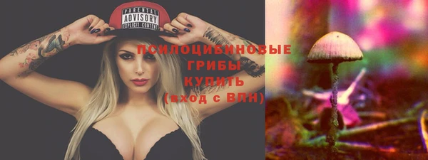 гидропоника Новокубанск