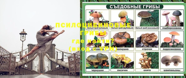 PSILOCYBIN Новодвинск