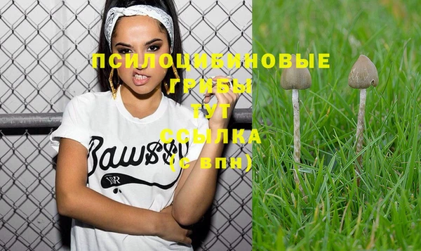 PSILOCYBIN Новодвинск