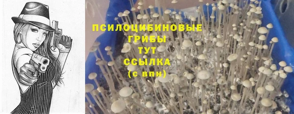 jwh Няндома