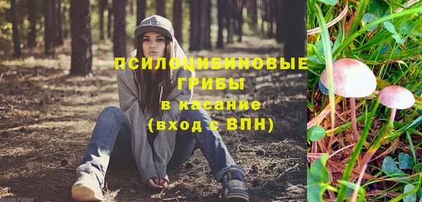 альфа пвп Александровское