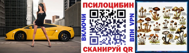Галлюциногенные грибы Cubensis Полярные Зори